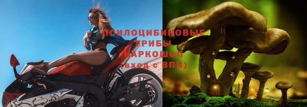 марки lsd Гусиноозёрск