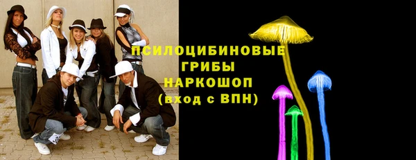 винт Гусь-Хрустальный