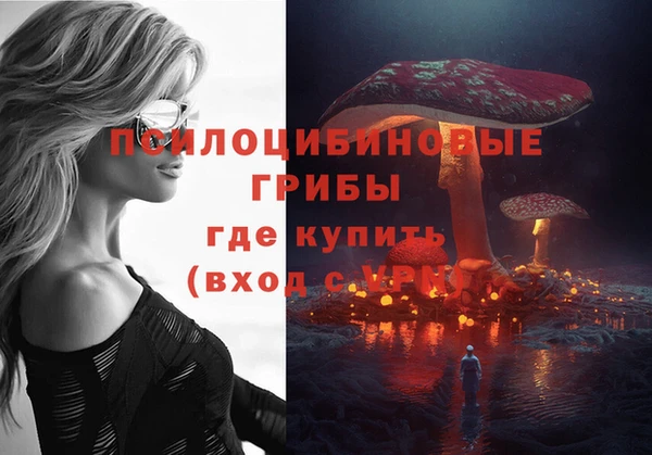 винт Гусь-Хрустальный