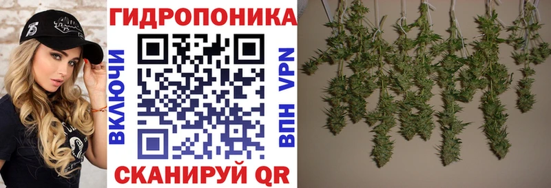Купить закладки  Баймак  Канабис конопля 